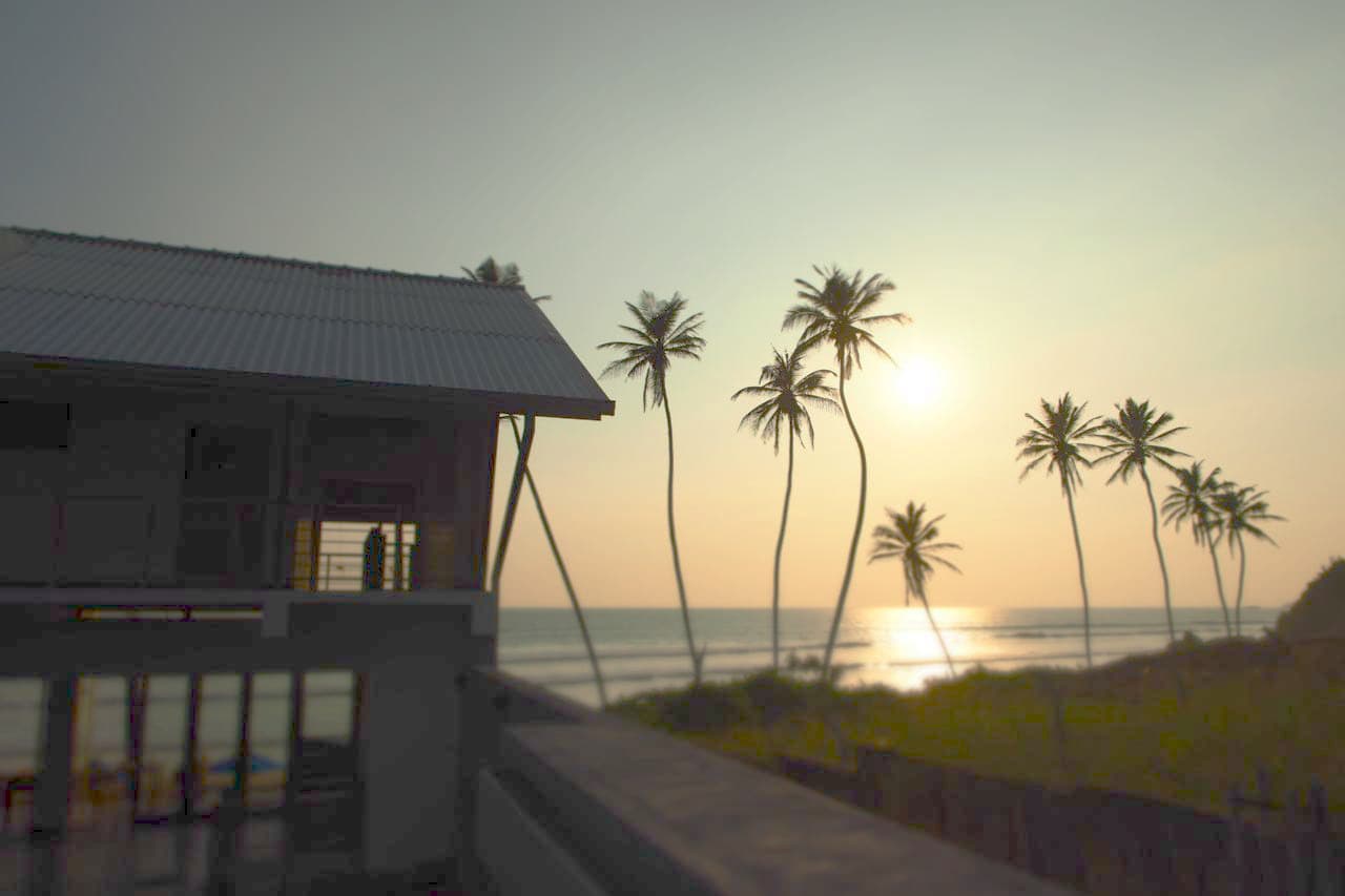 Palm silhouettes against a golden sunset over the Indian Ocean